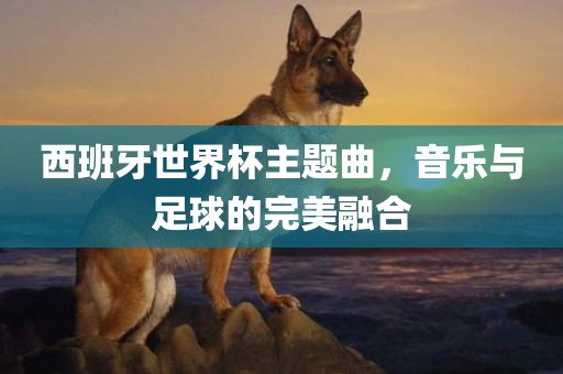 西班牙世界杯主题曲，音乐与足球的完美融合