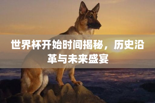 世界杯开始时间