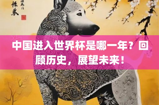 中国进入世界杯是哪一年？回顾历史，展望未来！