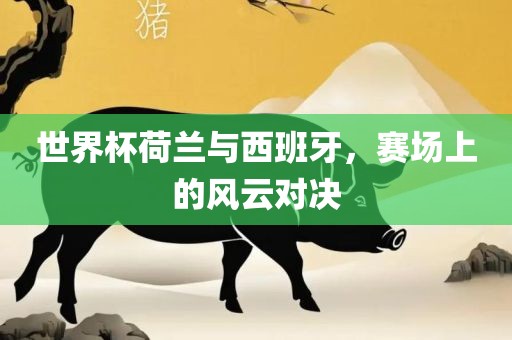 世界杯荷兰与西班牙，赛场上的风云对决漯河市盈旭机械设备有限公司