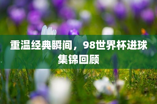 重温经典瞬间，98世界杯进球集锦回顾