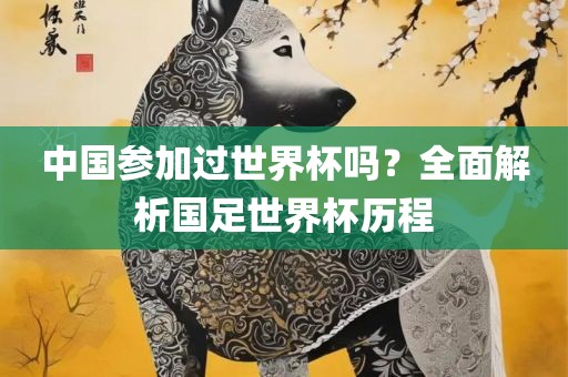 中国参加过世界杯吗？全面解析国足世界杯历程