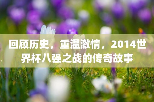 回顾历史，重温激情，2014世界杯八强之战的传奇故事漯河市盈旭机械设备有限公司
