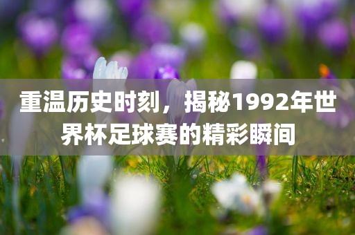重温历史时刻，揭秘1992年世界杯足球赛的精彩瞬间
