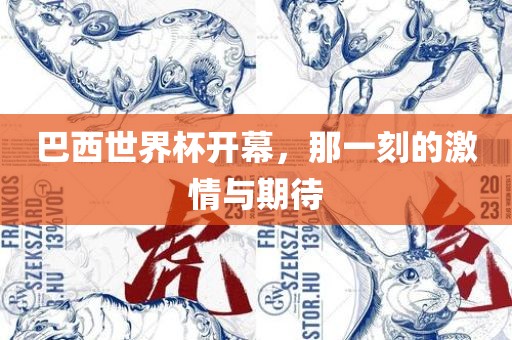 巴西世界杯开漯河市盈旭机械设备有限公司幕，那一刻的激情与期待