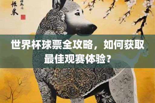 世界杯球票全攻略，如何获取最佳观赛体验？