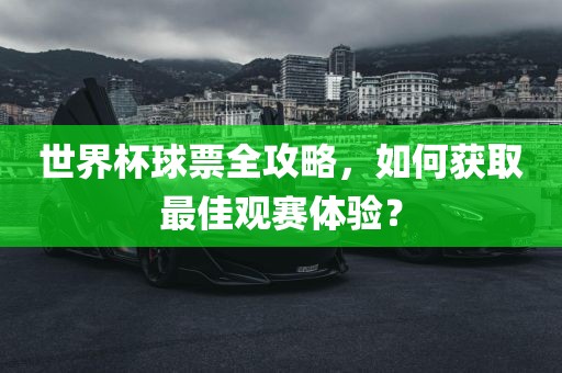 世界杯球票全攻略，如何获取最佳观赛体验？