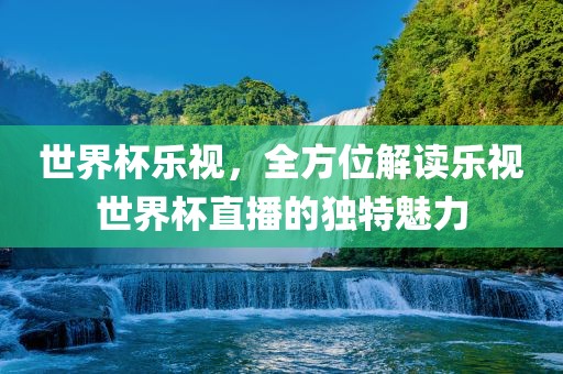 世界杯乐视，全方位解读乐视世界杯直播的独特魅力