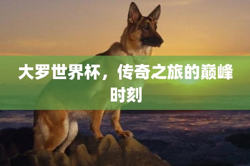 大罗世界杯，传奇之旅的巅峰时刻