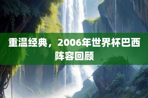 重温经典，2006年世界杯巴西阵容回顾漯河市盈旭机械设备有限公司