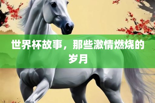 世界杯故事，那些激情燃烧的岁月漯河市盈旭机械设备有限公司