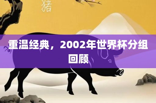 重温经典，2002年世界杯分组回顾