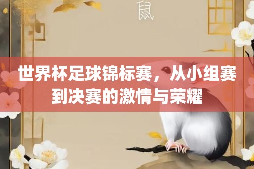 世界杯足球锦标赛，从小组赛到决赛的激情与荣耀