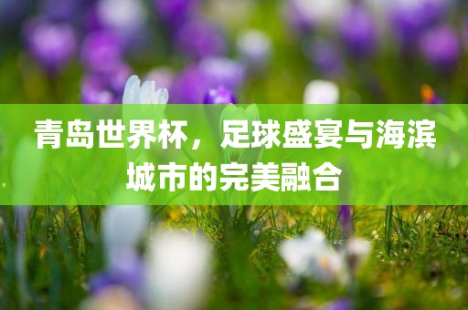 青岛世界杯，足球盛宴与海滨城市的完美融合