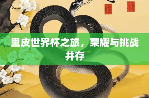 里皮世界杯之旅，荣耀与挑战并存