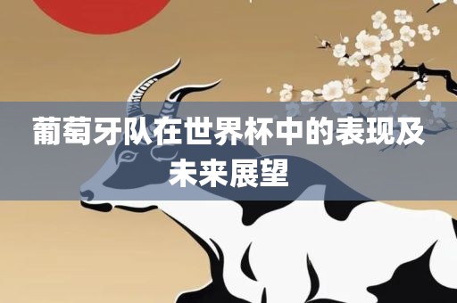 葡萄牙队在世界杯中的漯河市盈旭机械设备有限公司表现及未来展望