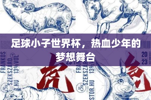 足球小子世界杯，热血少年的梦想舞台漯河市盈旭机械设备有限公司
