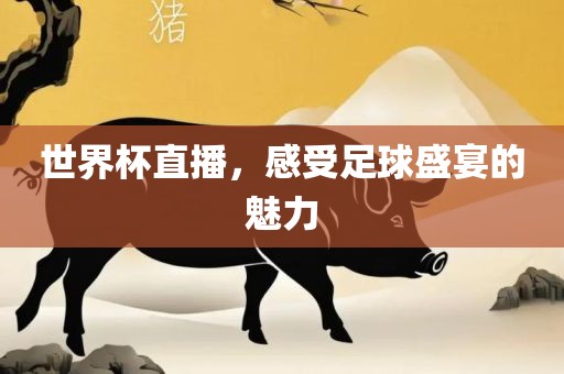 世界杯直播，感受足球盛宴的魅力