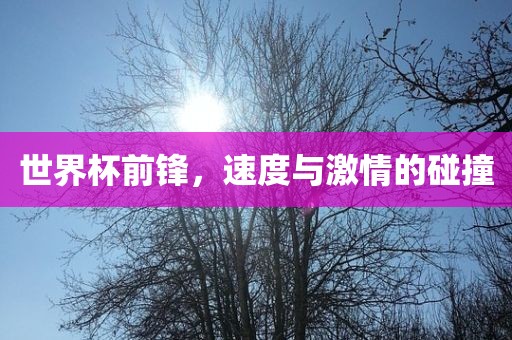 世界杯前锋，速度与激情的碰撞漯河市盈旭机械设备有限公司