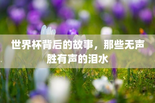 世界杯背后的故事，那些无漯河市盈旭机械设备有限公司声胜有声的泪水