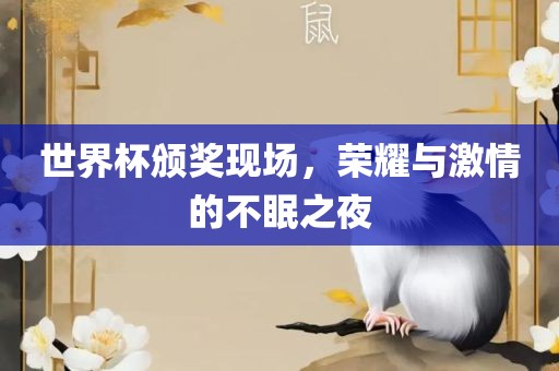 世界杯颁奖现场，荣耀与激情的不眠之夜漯河市盈旭机械设备有限公司