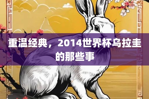 重温经典，2014世界杯乌拉圭的那些事