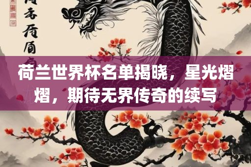 荷兰世界杯名单揭晓，星光熠熠，期待无界传奇的续写