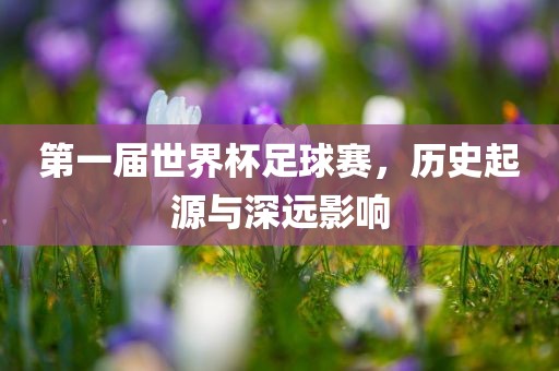 第一届世界杯足球赛，历史起源与深远影响
