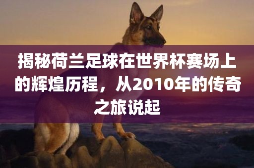 揭秘荷兰足球在世界杯赛场上的辉煌历程，从2010年的传奇之旅说起