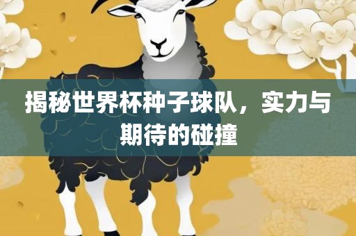 揭秘世界杯种子球队，实力与期待的碰撞