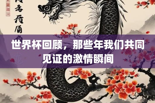 世界杯回顾，那些年我们共同见证的激情瞬间