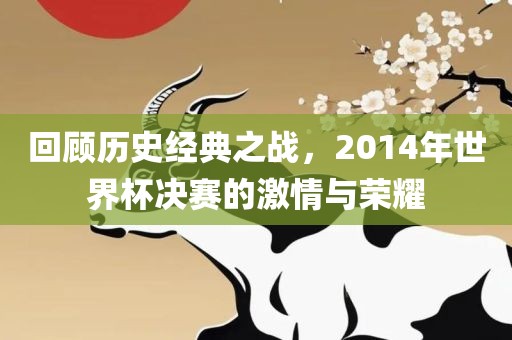回顾历史经典之战，2014年世界杯决赛的激情与荣耀