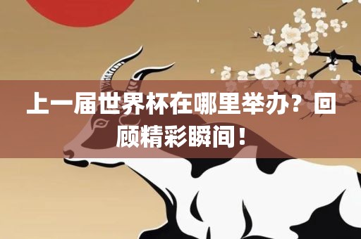 上一届世界杯在哪里举办？回顾精彩瞬间！