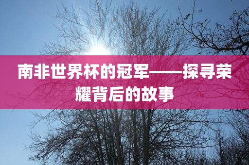 南非世界杯的冠军——探寻荣耀背后的故事漯河市盈旭机械设备有限公司