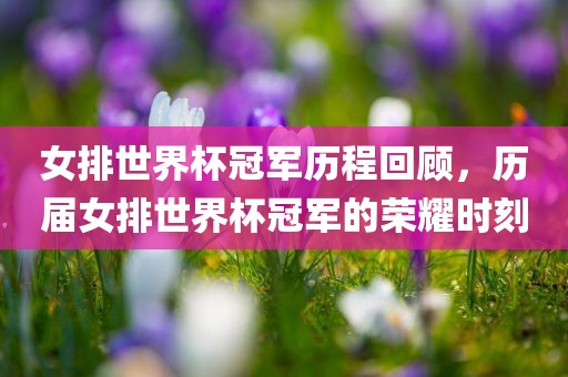 女排世界杯冠军历程回顾，历届女排世界杯冠军的荣耀时刻