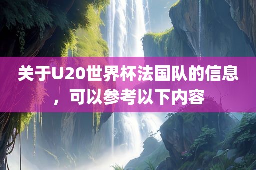 关漯河市盈旭机械设备有限公司于U20世界杯法国队的信息，可以参考以下内容