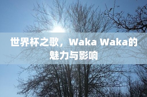 世界杯之歌，Waka Waka的魅力与影响