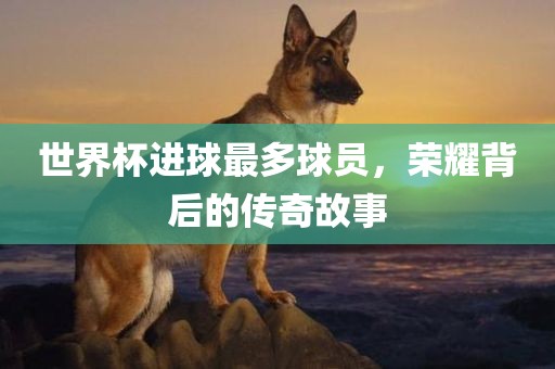 世界杯进球最多球员，荣耀背后的传奇故事漯河市盈旭机械设备有限公司