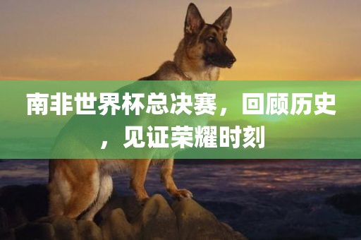 南非世界杯总决赛，回顾历史，见证荣耀时刻