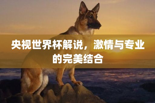 央视世界杯解说，激情与专业的完美结合