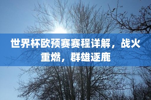 世界杯欧预赛赛程详解，战火重燃，群雄逐鹿