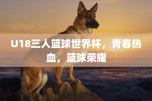 U18三人篮球世界杯，青春热血，篮球荣耀