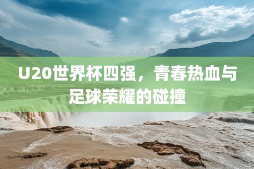 U20世界杯四强，青春热血与足球荣耀的碰撞
