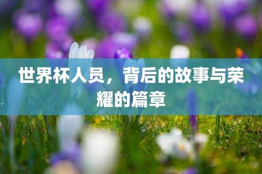 世界杯人员，背后的故事与荣耀的篇章