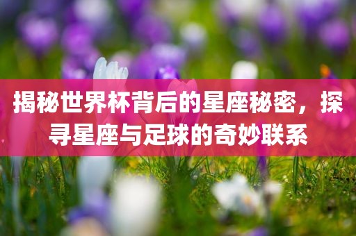 揭秘世界杯背后的星座秘密，探寻星座与足球的奇妙联系