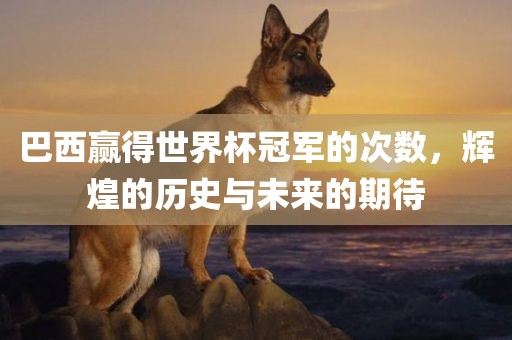 巴西赢得世界杯冠军的次数，辉煌的历史与未来的期待