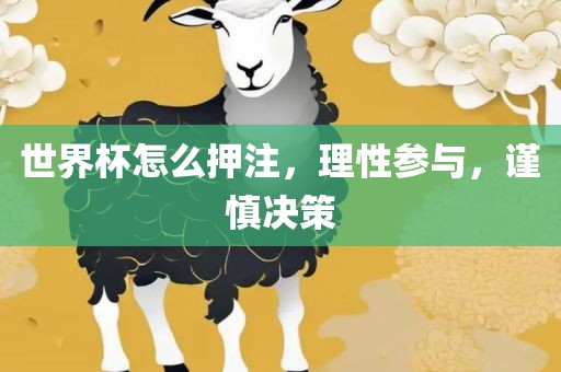世界杯怎么押注，理性参与，谨慎决策