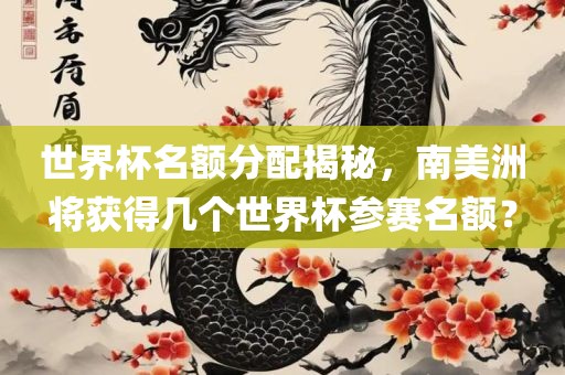 世界杯名额分配揭秘，南美洲将获得几个世界杯参赛名额？