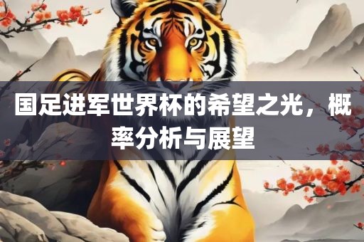 国足进军世界杯的希望之光，概率分析与展望