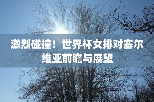 激烈碰撞！世界杯女排对塞尔维亚前瞻与展望漯河市盈旭机械设备有限公司